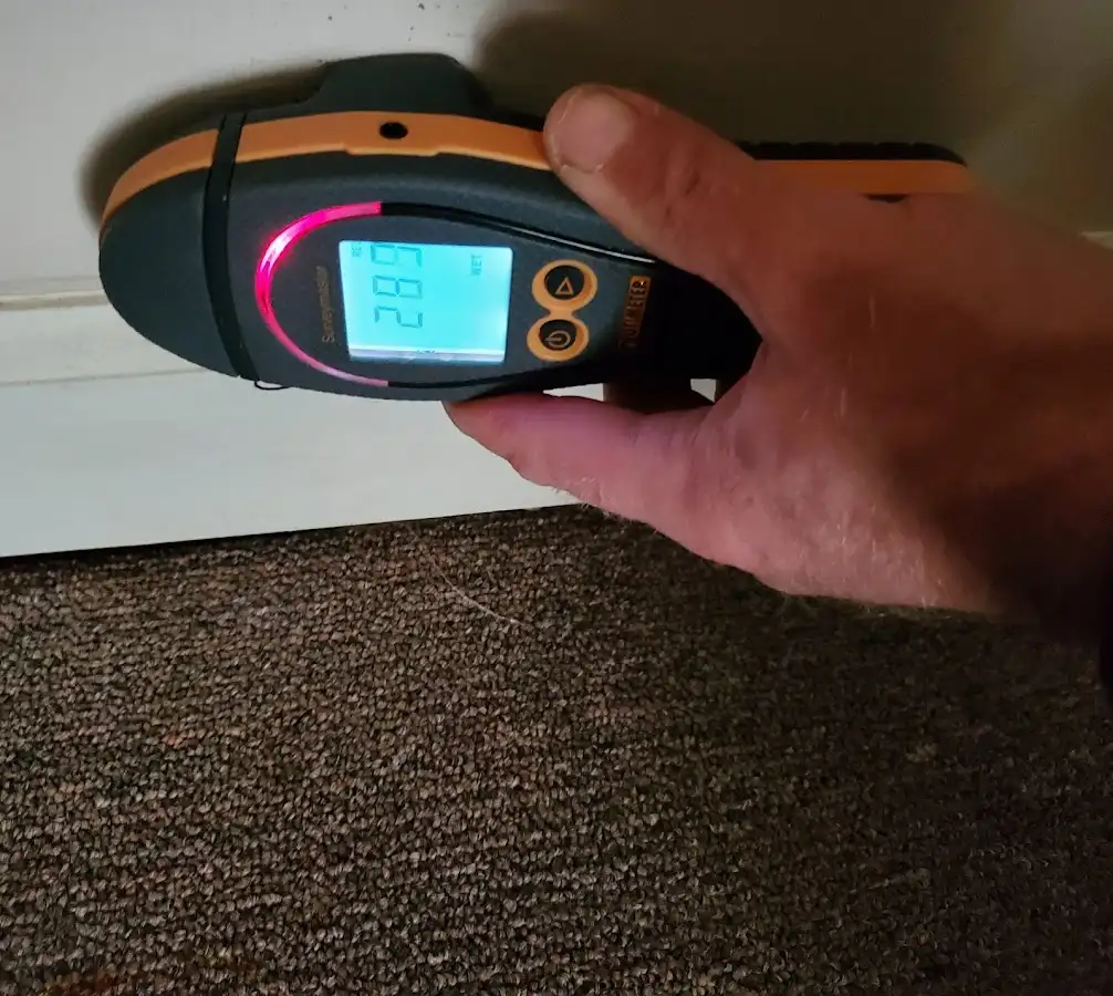 Moisture detection at baseboard during Sewage Cleanup & Sanitation in Saranap